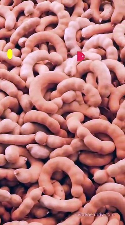 Benefits of Tamarind in Summer