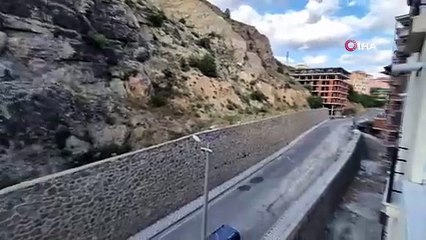 Gümüşhane dağlarının süsü yaban keçileri şehrin de süsü oldu