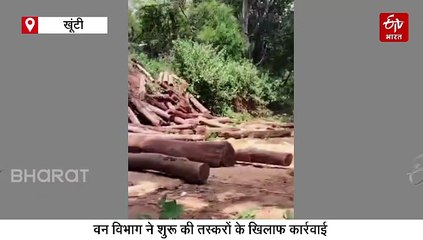 खूंटी में पेड़ों की अवैध कटाई पर एक्शन, कई घनफिट चिरान और लकड़ी जब्त