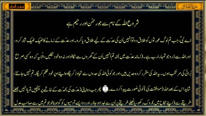 Surah At-Talaq Only Urdu Translation | Tafheem-ul-Quran | سورة الطلاق ترجمہ