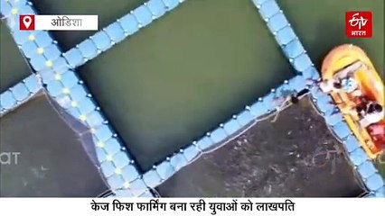 'पिंजरे' में मत्स्य पालन से बन रहे लखपति! केज फिश फार्मिंग ने बदली किस्मत