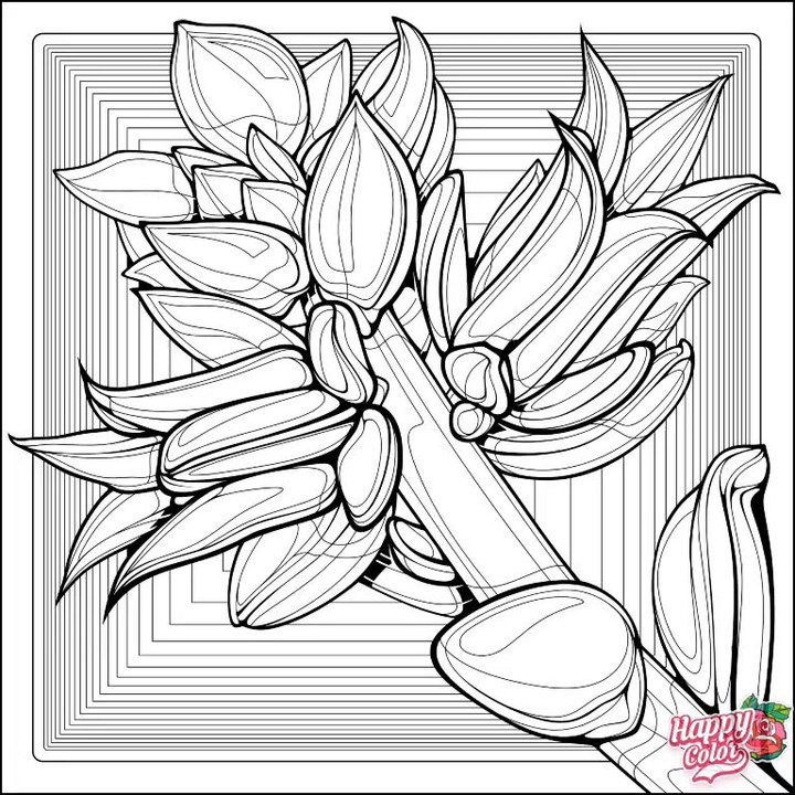 Beautiful flower