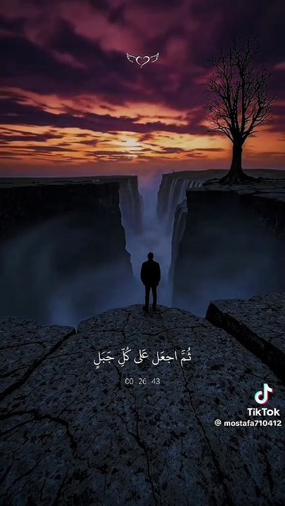 1001075596