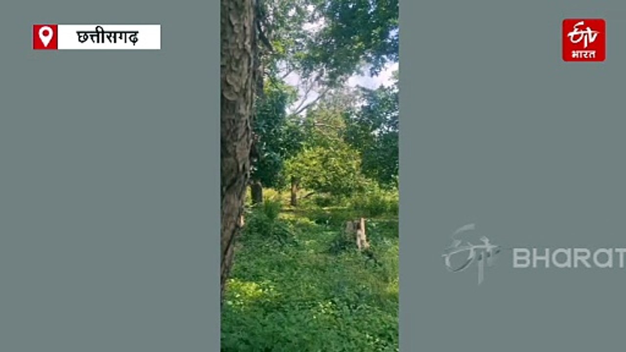 5 हार्डकोर नक्सली बीजापुर से गिरफ्तार, पेद्दाकोरमा में 2 IED बीडीएस और डीआरजी ने किए डिफ्यूज