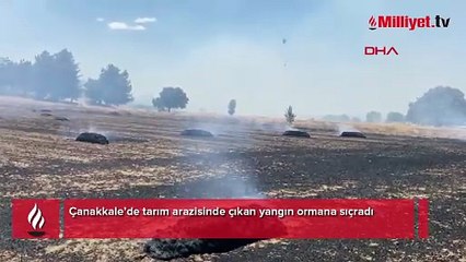 4 ilde peş peşe orman yangını! Rüzgarın etkisiyle yayılıyor