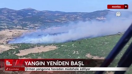 Manisa'da kontrol altına alınan orman yangını yeniden başladı