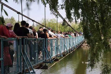 Peribacalarına gelen burada sallanmadan gitmiyor: Ortak noktaları ise aynı