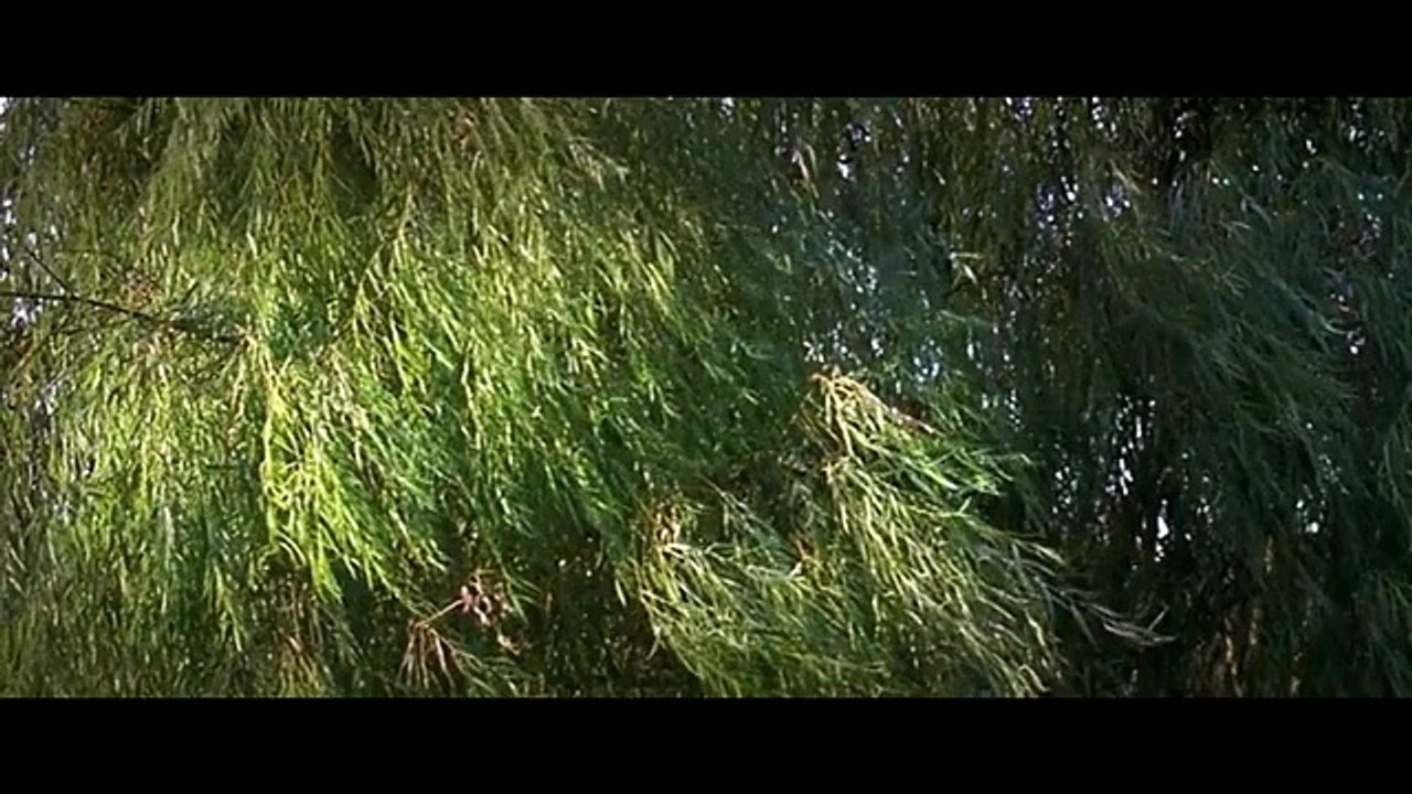 A Bittersweet Life Explained in Hindi _ Thriller Korean Movie Explained in Hindi