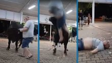 Para atarken boğanın boynuz darbesiyle havaya fırladı