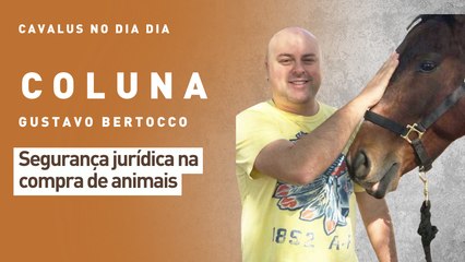 Cavalus no Dia Dia: segurança jurídica na compra de animais