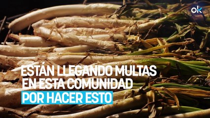 Adiós a las comidas con amigos en casa: están llegando multas en esta comunidad por hacer esto