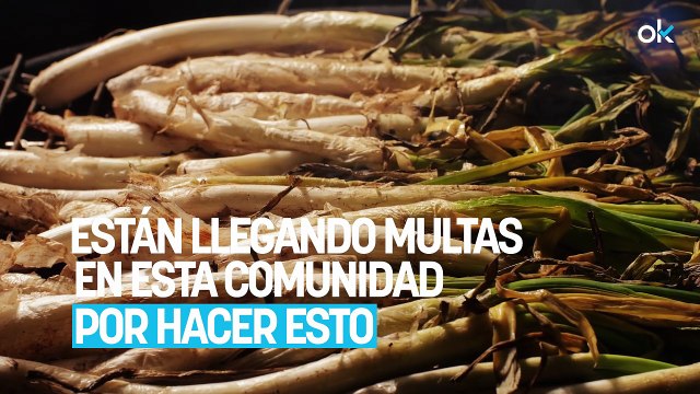 Adiós a las comidas con amigos en casa: están llegando multas en esta comunidad por hacer esto