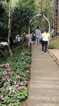 Discover Dalat Vietnam