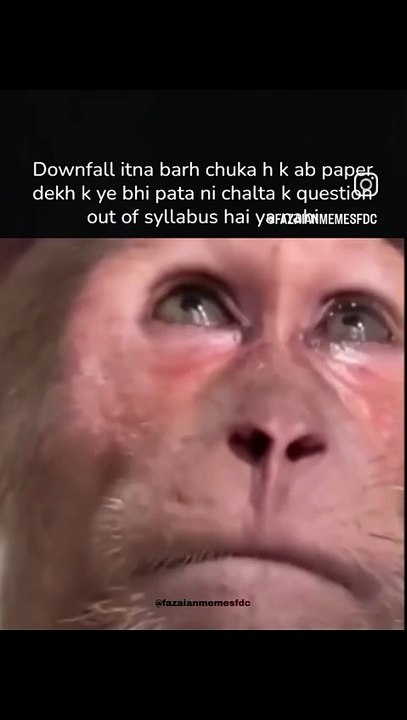Funny viral clips