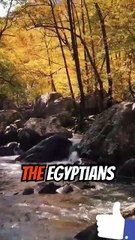 Genesis chapter 12. Verses 11 to 20.