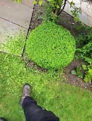 The energy contained in this bush is released in a back-and-forth motion.