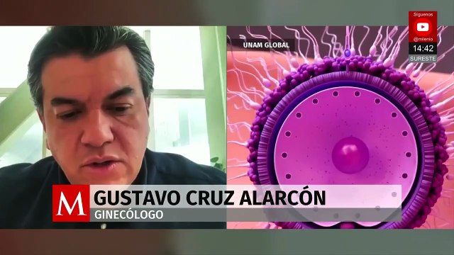 Abortos espontáneos: la fertilidad masculina también importa