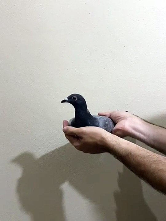 25-34-24346
