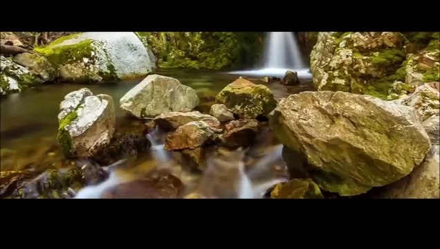 Khatam ul Khwajagan Dhikr Shaykh Hisham Kabbani (q)