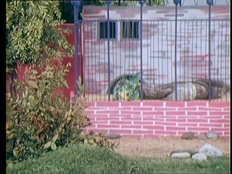 Augsburger Puppenkiste - Drachengeschichten