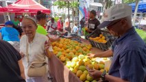 Concluye exitosa la edición 21 de la Expo Feria del Mango 2025