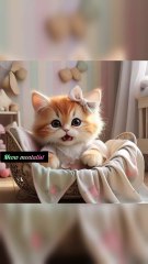 “OMG 😱 She’s Calling Mama! 🐱💖 Cutest Practice Ever!”