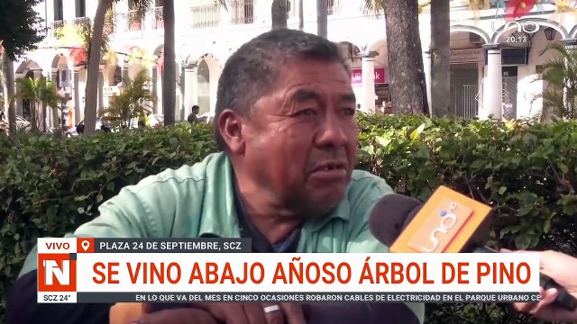 FUERTES VIENTOS CAUSAN ESTRAGOS EN SANTA CRUZ