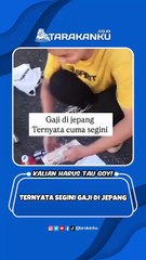 Understanding Earnings in Japan