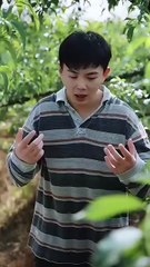 HERBS, HOTTIES & HEADACHES . FULL MOVIES ENGLISH SUB