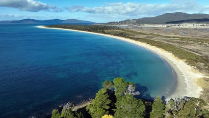 Climate change pushes interstate farmers to buy land in Tasmania