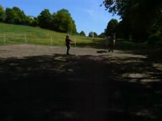 Igor le travail en liberté