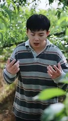 HERBS, HOTTIES & HEADACHES . FULL MOVIES ENGLISH SUB