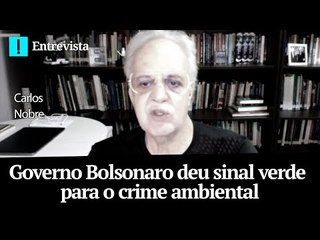 Governo Bolsonaro deu sinal verde para o crime ambiental, diz Carlos Nobre