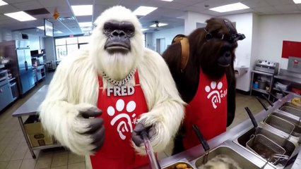 Bigfoot eats at Chick-fil-A on a SUNDAY