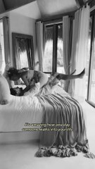 ❤️ Starting again doesn't necessarily mean you failed the first time. Sometimes it means that you finally realized that things should have been better, that maybe you deserved more....❣️Join @twocatsoncouch💕