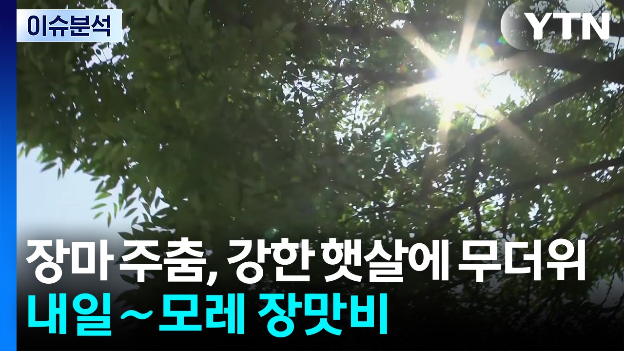 [날씨] 장마 주춤, 강한 햇살에 무더위...내일∼모레 장맛비 / YTN