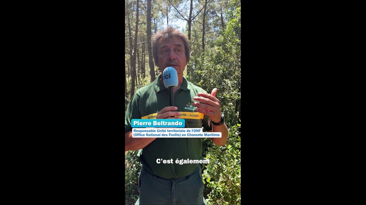 Risques incendies en forêt, les précautions à prendre