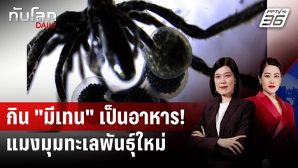 พบแมงมุมทะเลกิน “ก๊าซมีเทน” เป็นอาหาร | ทันโลก DAILY | 23 มิ.ย. 68