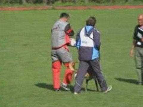 FMBB-2008-Chasiotis/Azra