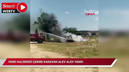 Park halindeki otomobil baraja düştü