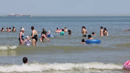 Fortes chaleurs : la côte belge prise d'assaut