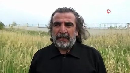Van'da koruma tedbirleri, dikkuyruk sayısını artırdı