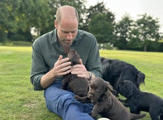 William célèbre ses 43 ans : cette adorable photo qui prouve sa grande ressemblance avec Elizabeth II