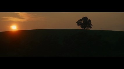 28 Ans Plus Tard - Subversion