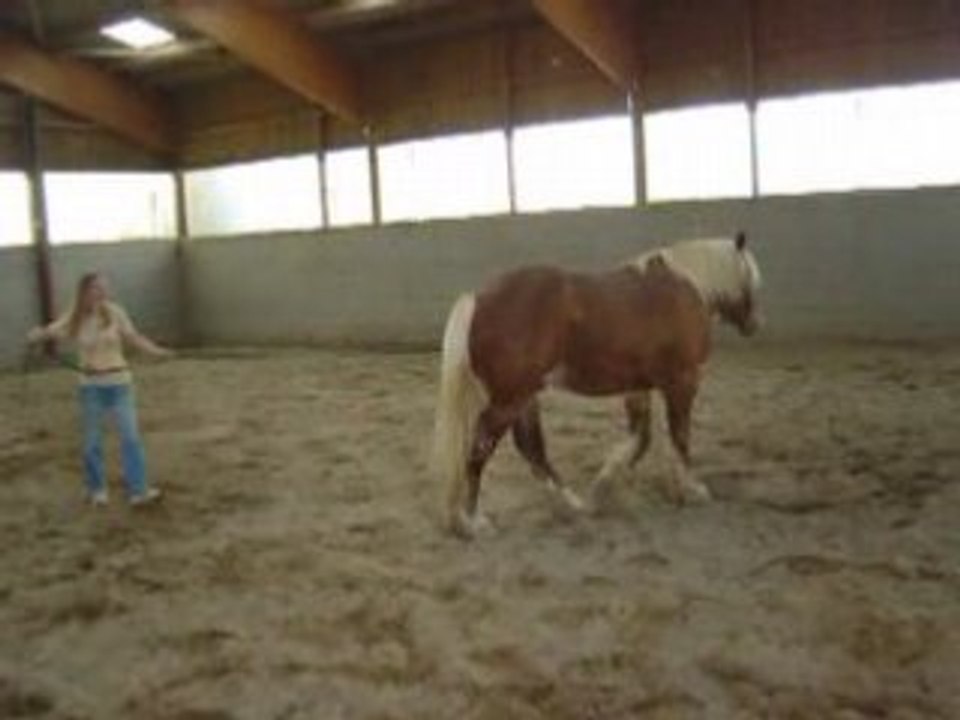 2008.04_Samson longe
