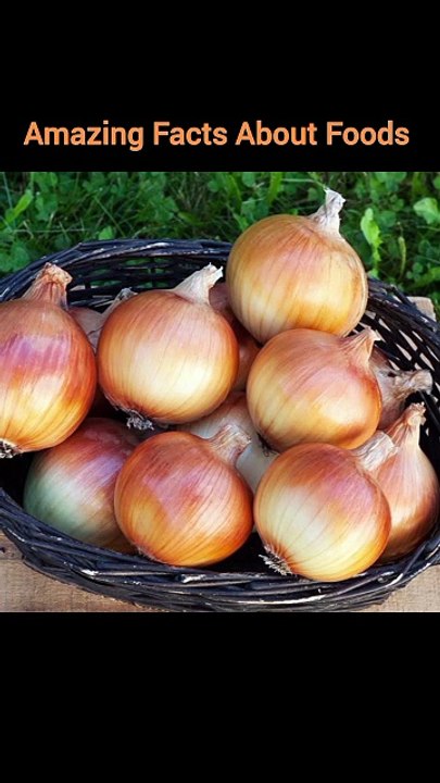 Fun Facts About Foods | Amazing Facts About Foods