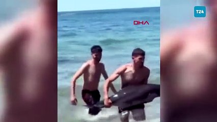 Kıyıya vuran yaralı yavru yunus denize bırakıldı