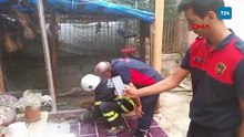 Balık ağına dolanan kediyi itfaiye kurtardı
