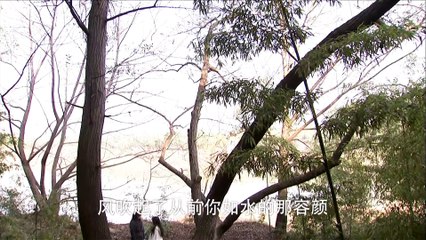 【流星蝴蝶剑】ENG SUB _ Meteor Butterfly Sword 第11集 陈楚河、陈意涵、王艳、黄维德主演古龙原著经典武侠剧【超清1080P】