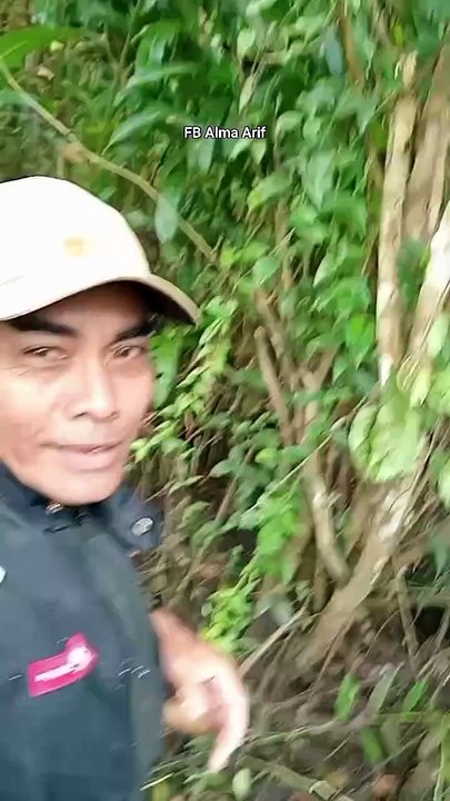 Perangkap Ikan